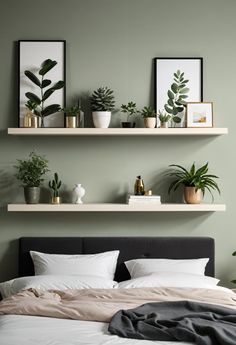 there are two shelves above the bed with plants on it and other items in front of them