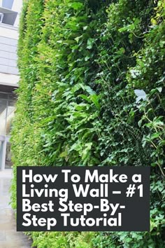 Transform your space with this #1 Best Step-By-Step Tutorial on creating a stunning living wall. Discover how to bring life and nature indoors using five keywords: living wall, tutorial, step-by-step, make, and space. This comprehensive guide provides descriptive details, helping you design and install a breathtaking vertical garden that will become the focal point of any room. IG Photo by: the_gardening_dentist Living Garden Walls Outdoor, Garden Plant Wall Ideas, How To Build A Living Wall, Diy Living Wall Outdoor, How To Make A Green Wall, Living Walls Indoor, How To Make A Living Wall, Indoor Green Wall Design, Living Plant Wall Indoors