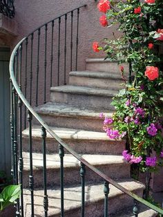 some flowers that are growing on the steps