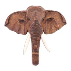 an elephant's head with tusks is shown against a white background,