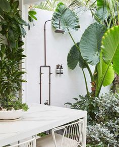 a white table and some plants in a room