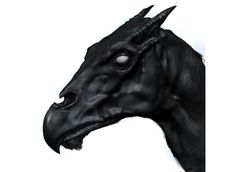 a drawing of a horse's head with long horns and large black feathers on it