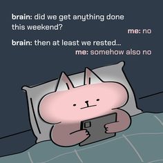 a cartoon cat sitting on top of a bed next to a pillow with the caption brain did we get anything done this weekend?