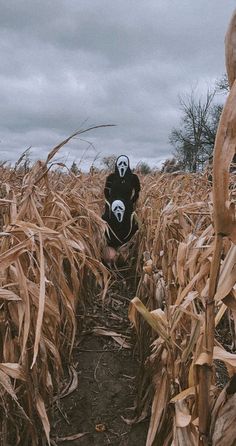 a person in a black and white mask standing in the middle of a corn field