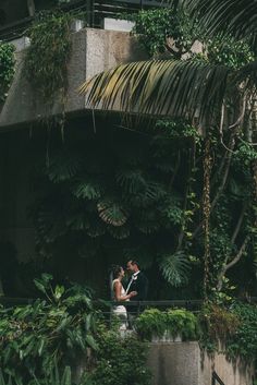 a bride and groom standing in front of some greenery at their wedding day, surrounded by palm trees