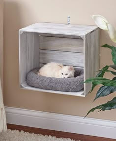 a white cat laying on top of a dog bed in a wooden crate next to a potted plant