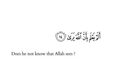 an arabic text that reads, does he not know that allaah sees it?