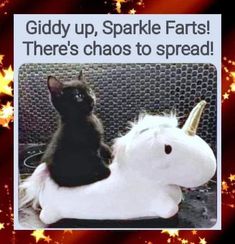 a black cat sitting on top of a white stuffed unicorn horse with the caption, giddy up sparkle fars there's chaos to spread