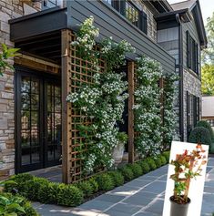 an outdoor garden with plants growing on the side of it