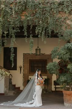 a woman in a wedding dress and veil standing under an ivy covered building with potted plants