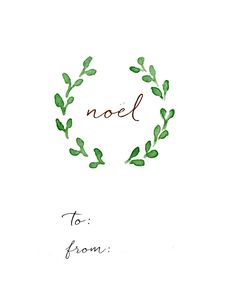 the words noel written in watercolor and ink on white paper with green leaves around it