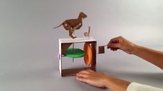 a person is playing with an animal in a box