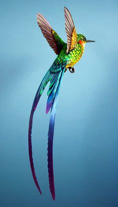 a colorful bird flying in the air with its wings spread out and it's tail extended