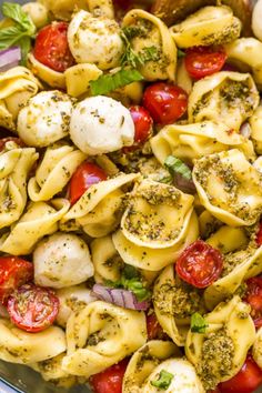 pasta salad with tomatoes, mozzarella and herbs