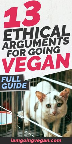 a white cat in a cage with the title 13 practical arguments for going vegan