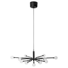 a black chandelier with eight lights hanging from it