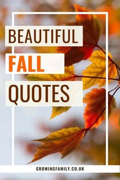 fall leaves with the words beautiful fall quotes