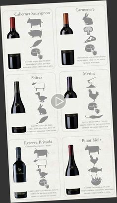 a poster showing different types of wine bottles