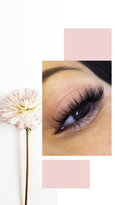 Eye Lash Art, Eye Lash Design, Lily Lashes, Eyelash Decor, Candy Makeup, Jewellery Photography Inspiration