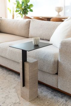 a living room with a couch, coffee table and potted plant