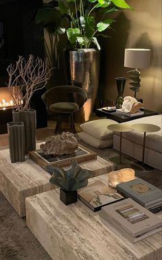 a living room filled with furniture and a large potted plant on top of a coffee table