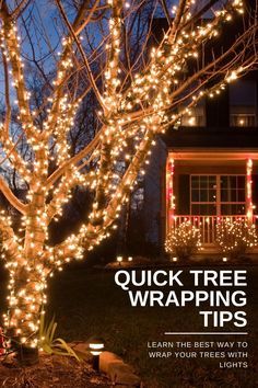 a tree with christmas lights on it and the words quick tree wrapping tips written below