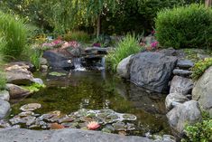 a small pond surrounded by rocks and plants