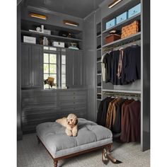 a dog sitting on top of a bed in a walk - in closet with gray walls