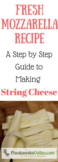 how to make fresh mozzarella recipe with step by step instructions for making cheese