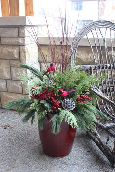 a potted plant with red berries and greenery in it sitting next to a wicker chair