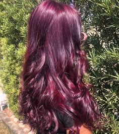 Merlot Hair Color Formula, Red Ish Purple Hair, Dark Purplish Red Hair, Purplish Red Hair Color, Wine Colored Hair With Highlights, Deep Berry Hair Color, Deep Purple Hair Burgundy, Dark Red Magenta Hair, Raspberry Purple Hair