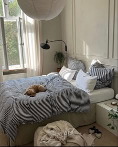 a dog laying on top of a bed in a room with white walls and windows