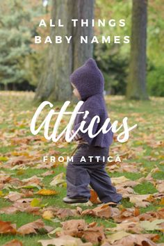 a little boy standing in the grass with leaves around him and text that reads, all things