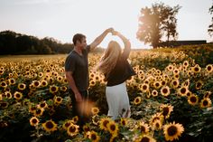 a man and woman standing in a field of sunflowers