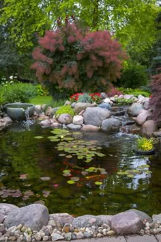 a pond surrounded by rocks and water lilies