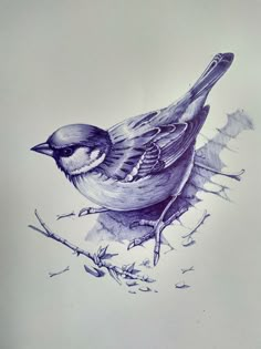 a drawing of a bird sitting on top of a tree branch