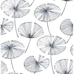 a drawing of some dandelions on a white background with black dots and lines