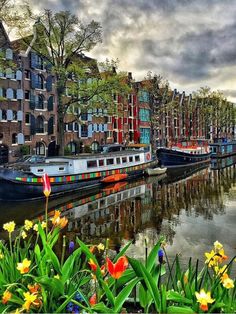 boats are docked on the water in front of some buildings and green grass with yellow flowers