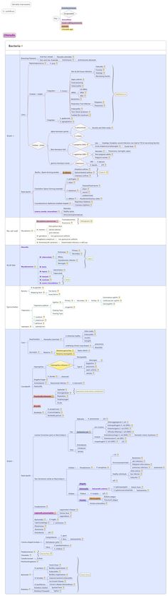 a blue and white diagram with multiple lines on the same page, each showing different types of text