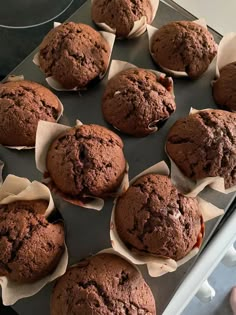 chocolate muffins are lined up on a baking sheet