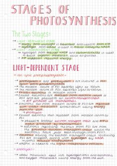 the stages of photosyntheism in text on a piece of paper with pink and green writing