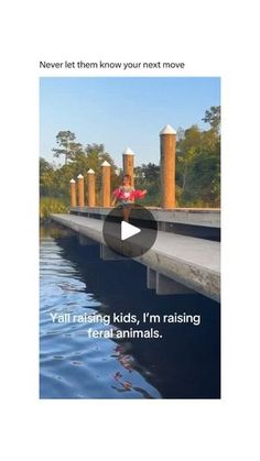 the video is showing how to keep kids entertained by their own animals and water features