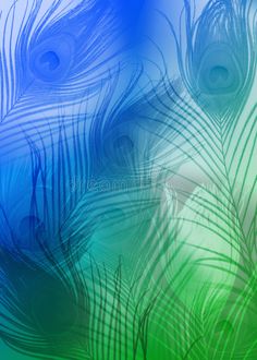 an abstract background with blue and green peacock feathers royalty illustration for design or wallpaper