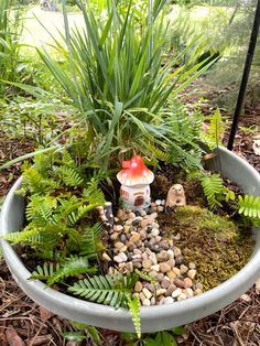 a potted plant filled with lots of plants