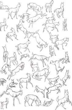 a bunch of horses that are drawn in black and white with some lines on them