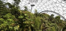 the dome structure is surrounded by trees and plants