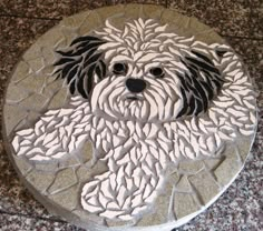 a white dog with black eyes sitting on top of a marble table covered in pebbles