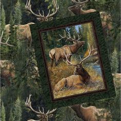 an image of some deer in the woods