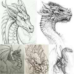 four different types of dragon drawings