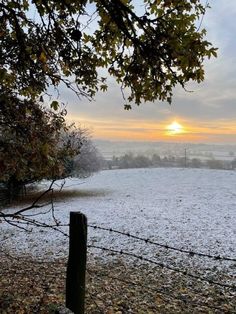 the sun is setting over a snowy field with trees in the foreground and a barbed wire fence to the right